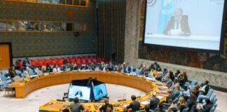 Sierra Leone’s President Julius Maada Bio Proposes ECOWAS _UN_ Compact for Peace and Resilience in The Sahel at United Nations (UN) Security Council