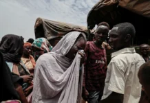 UN Reports Widespread Sexual Violence and Humanitarian Crisis in Darfur Amid Ongoing Sudan Conflict