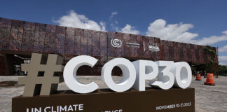 COP31 Goes to Turkey After Historic Bargain
