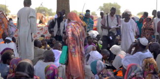 UN Human Rights Council Launches Fact-Finding Mission into Mass Killings in Sudan’s al-Fashir