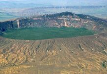 KFS Dismisses Claims of Land Grabbing at Menengai Crater Forest