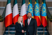 Ethiopia, Italy Forge Ahead on Growth Agenda