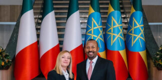 Ethiopia, Italy Forge Ahead on Growth Agenda