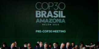 COP30 Events Finally Underway After A Year of Disruptions