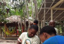 Afro-Brazilian Communities Resist Land Grabs Near COP30 Venue