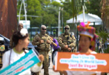 Indigenous Protesters Defend COP30 Summit Incursion as Climate Talks Continue in Belem