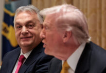 Hungary Secures ‘Financial Shield’ Deal With Washington, Orban Says