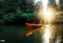 Explore more cities in one trip with the Emirates Asia Pass