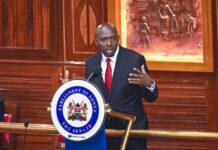 CS Murkomen Appeals to Parliament for More Funding to Build Security Roads