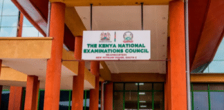 KNEC Releases July 2025 TVET Results, How to Check