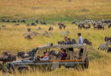 Kenya Named the World’s Friendliest Country by Travellers