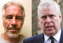 Andrew Wanted to Meet Jeffrey Epstein After His Prison Release, Emails Reveal
