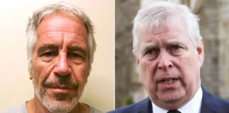 Andrew Wanted to Meet Jeffrey Epstein After His Prison Release, Emails Reveal