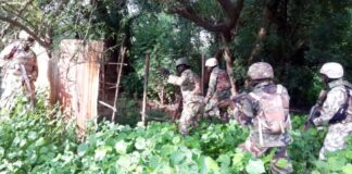 Ugandan Forces Kill ‘Herbalist’ Behind Deadly Attacks on Security Posts