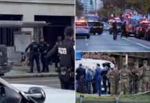 Two National Guard Troops Killed After ‘Targeted’ Ambush Outside White House