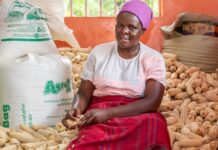 West African countries committed to boosting women’s empowerment in agrifood systems