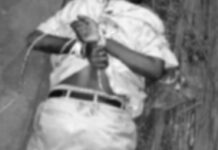 Kitui Businessman Murdered in Brutal Robbery at Kabati Market