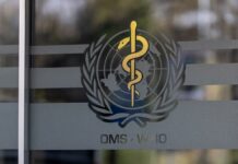 Ethiopia Confirms Marburg Virus Outbreak, WHO Reports