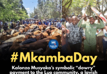 Kalonzo’s Courting Ritual: Behind the Kamba-Luo Dowry Exchange