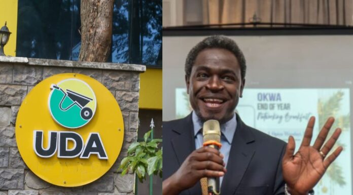 Nelson Havi Resigns from President Ruto’s UDA Party