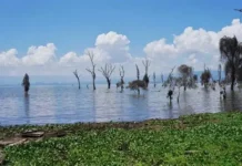 Lake Naivasha Floods Displace Over 4,000 Families in Nakuru County
