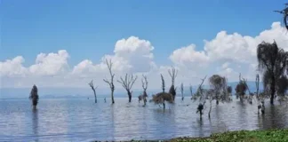Lake Naivasha Floods Displace Over 4,000 Families in Nakuru County
