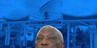 Kenyatta University Vice-Chancellor is Influencing Recruitment of His Successor—Court Told