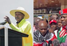Uganda president admits Kenyan activists were arrested and held in ‘the fridge’