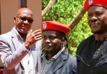 Khalwale kicked out of Senate after claiming Uhuru secured release of two Kenyan activists abducted in Uganda