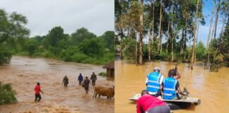 Over 9,000 families displaced as River Sabwani bursts Its banks in Trans Nzoia