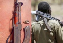 Voluntary Surrender of Illegal Firearms Gains Momentum in Embobut, Elgeyo Marakwet