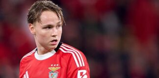 Norway Footballer Faces Conviction Over Sharing Illegal Video