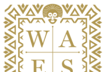 Wider African Energy Summit (WAES): Africa’s Energy Transition is About Confidence, Not Charity