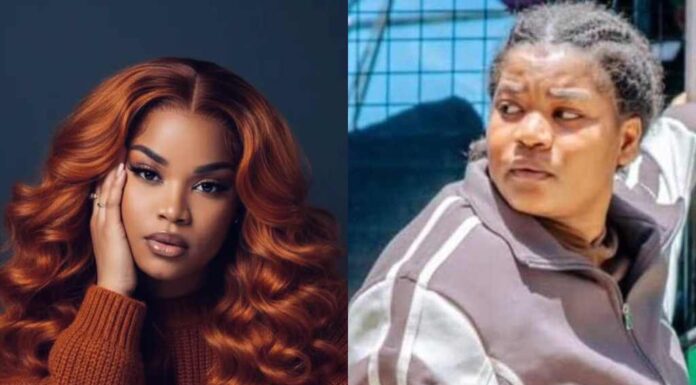 Tanzanian Entrepreneur ‘Niffer’ Charged with Treason Over Alleged Plot to Undermine Elections