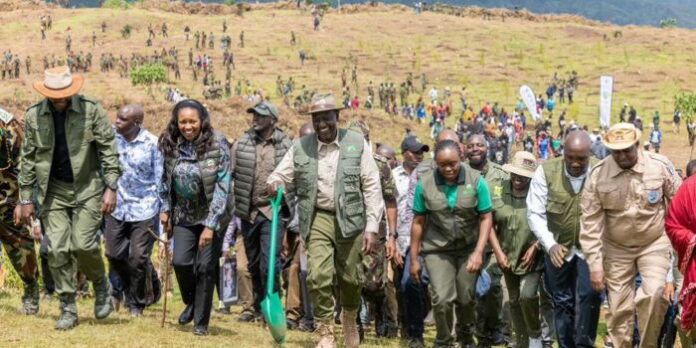 president-william-ruto-along-with-other-government-officials-during-a-tree-planting-exercise-in-mau-forest-on-monday-october-27