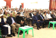 Eritrea Marks International Diabetes Day in Mendefera