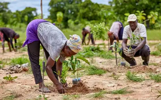 tree-planting-in-northern-ghana-to-support-communtiies-to-tackle-the-climate-crisis-and-build-resilience-to-its-effects