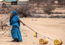 Climate Fury Hits Kenyan Women Hardest: UN Report Demands Green Justice