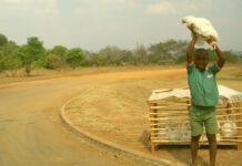 Benin: African Development Bank to invest €102 million to boost poultry meat production