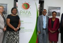 AfDB, PAFA Launch $5.2m Program to Professionalise African Accountancy
