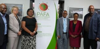 AfDB, PAFA Launch $5.2m Program to Professionalise African Accountancy