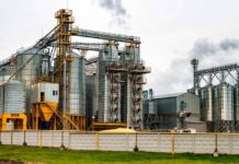 AfDB Approves $160 Million to Boost Connectivity to DR Congo’s Ngandajika Agro-Industrial Park