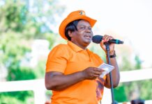 Homa Bay Governor Wanga Fires CECM Peter Ogolla, Appoints His Replacement