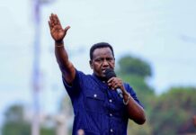 Newton Karish Calls for Calm Amid Petition Challenging Wa Muthende’s Mbeere North Win