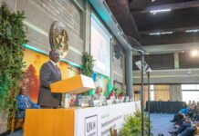 Ruto Tells UNEA To Work on COP30 Declaration on Green Transition