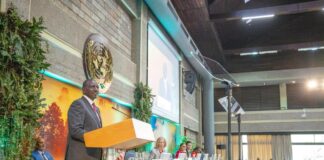 Ruto Tells UNEA To Work on COP30 Declaration on Green Transition