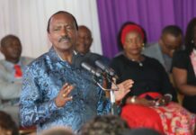 Kalonzo Hints at Private Prosecution of IEBC Chiefs Over By-elections 