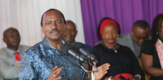 Kalonzo Hints at Private Prosecution of IEBC Chiefs Over By-elections 