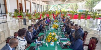 Cabinet approves new energy policies to expand power access