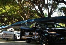 Dongfeng Motor Completes G20 South Africa Transport Mission, Green Fleet Praised